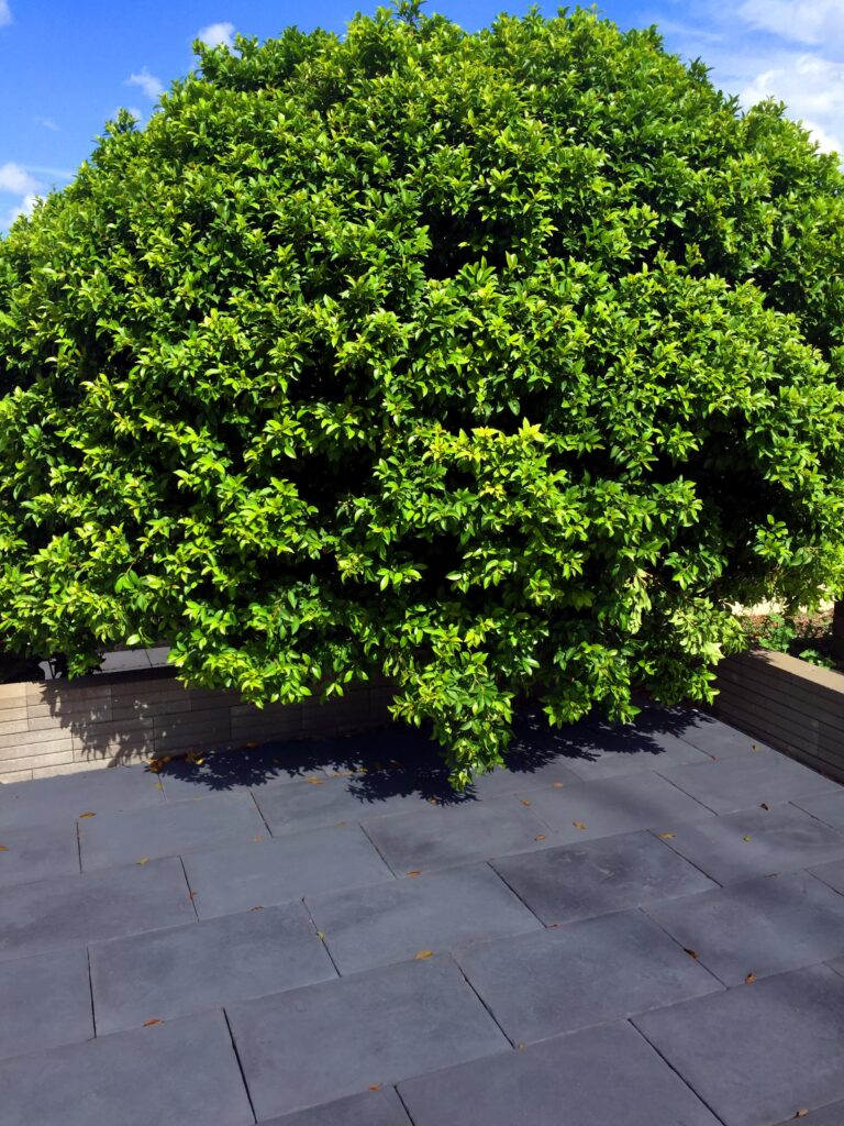 Stoneworks Aspenstone 600x400x40mm Paver ABC Building Products